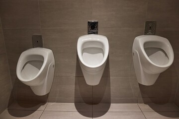 Urinals Public Toilet