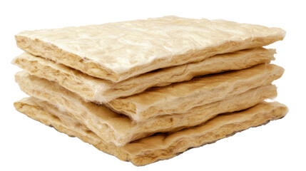 Old sponge for construction work on transparent background