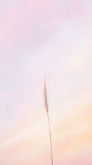 Minimalist Rural Landscape with Lone Wheat Stalk Against Sky