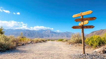 Vintage Wooden Signpost Pointing to Western Landmarks in Desert Landscape