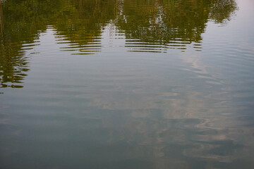 Natural freshwater pond 