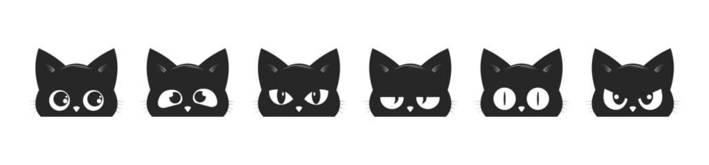 cat head black white background © Amir