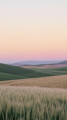 Obraz premium Serene Twilight Landscape of Wheat Field in Soft Color Palette
