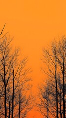 Fototapeta premium Bare trees silhouette against vibrant sunset