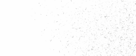 white and black particles dust noise paper texture background and terrazzo flooring texture polished stone pattern.