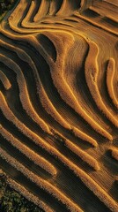 Dramatic Aerial View of Intricately Patterned Landscape at Dusk