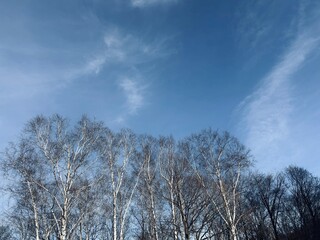 clear sky in winter