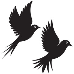 vector illustration of a bird on white background