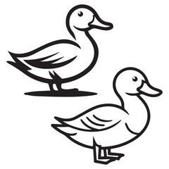 two ducks on a white