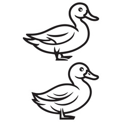 duck and duckling on white background