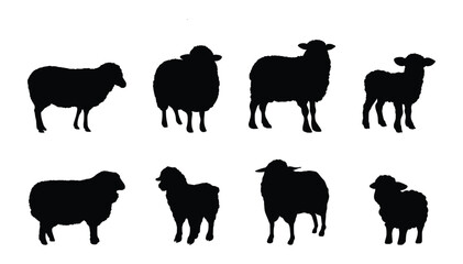  Sheep Silhouette vector design