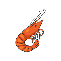 Shrimp illustration