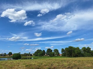 Fototapeta premium Natural landscape with trees, grass, and sky.