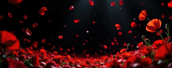 Red poppy petals fall from the sky into a black void, leaves, red flowers, decoration