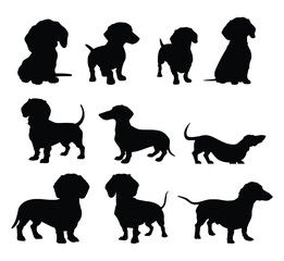 Dachshund dog silhouette