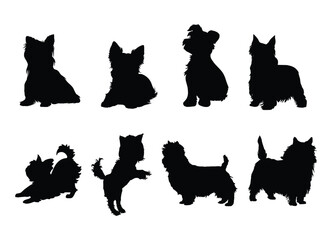 Yorkshire Terrier dog silhouette vector design