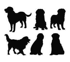 Bernese Mountain dog silhouette vector design