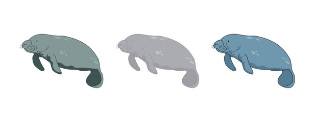 manatee cartoon set vector design