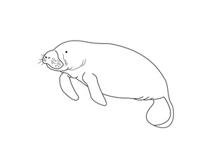 manatee outline cartoon vector design