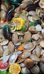 oysters on the market