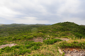 Obraz premium 青い海と緑の森が美しい神引展望台から見る、沖を航行する大型客船（さるびあ丸）と式根島と新島の海。東京都伊豆諸島式根島 -2024 