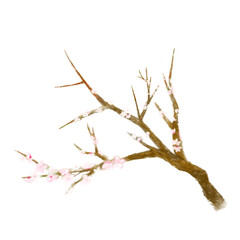 梅の花のおしゃれリアルな手書きイラスト