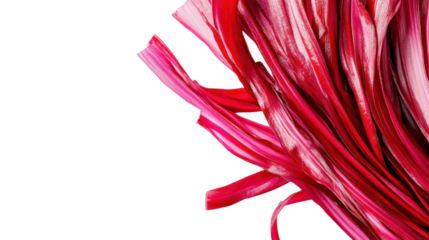 red lines isolated on white background