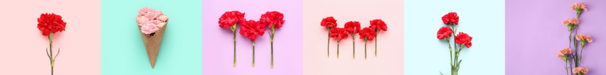 Collage of beautiful carnation flowers on color background, top view