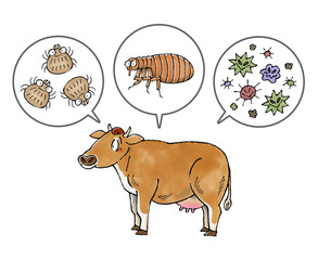 ジャージー牛と寄生虫(ダニ、ノミ、病原菌)