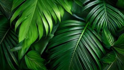 vibrant green leaves create a beautiful tropical backdrop