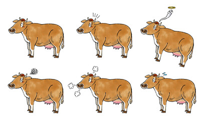 ジャージー牛セット