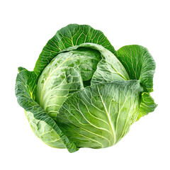 Obraz premium Fresh Green Cabbage with Vibrant Leaves Perfect for Healthy Recipes and Culinary Dishes