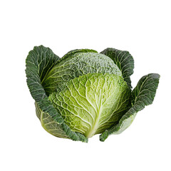 Fototapeta premium Fresh Green Cabbage with Textured Leaves on a White Background for Culinary and Healthy Lifestyle Themes