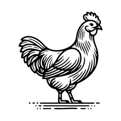 Animal Line Art Illustration of Chicken