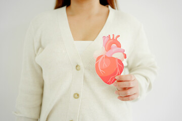 Woman hands holding heart anatomy, organ donor, cardiac heart cancer, health care hospital service...