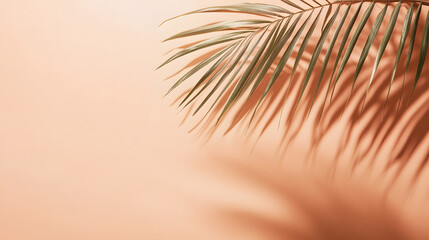 Obraz premium palm tree leaves