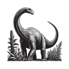 Brachiosaurus in black and white woodcut style, stands tall in i © Orion Draw