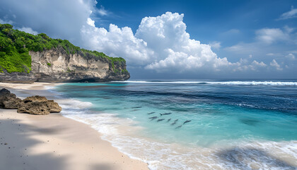 Explore the wild beauty of majestic nature