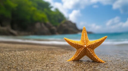 Golden Starfish On Sandy Beach With Turquoise Water And Lush Background