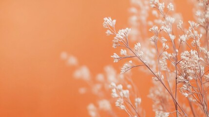 Naklejka premium Dried white flowers and stems against a bright orange background