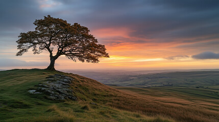 Obraz premium lone tree on hilltop gazes at horizon during dramatic sunset, feeling peaceful and tranquil in vast landscape