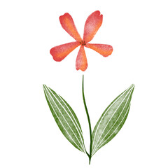 水彩で描いた赤い花のイラスト