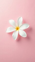 Fototapeta premium Delicate white petals set against a soft pastel pink background, elegant, simple, pastel