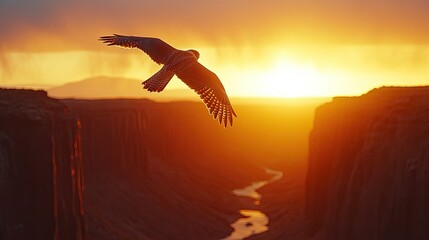 A falcon soaring above a canyon with the sun setting behind the rocky cliffs in the distance
