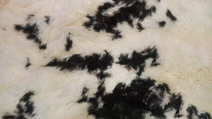 Close-up of a faux fur texture with black and white spots.