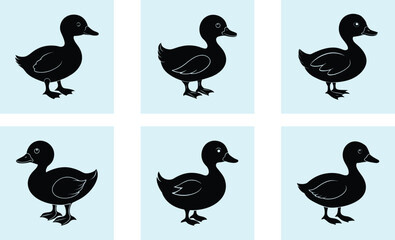 Obraz premium Duckling Silhouette vector