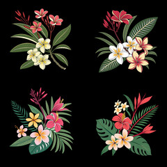 Beautiful Tropical flowers and leaves