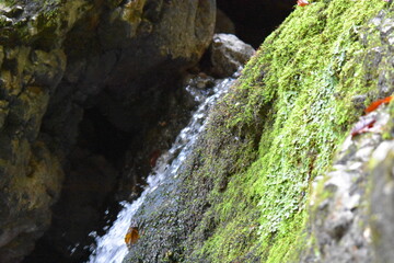 Wasserfall an einem Gebirgsbach 