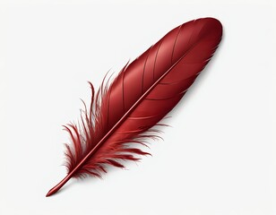Single Red Feather on White Background