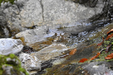 Wasserfall an einem Gebirgsbach 